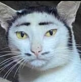 464415488_869747205340823_9090379912136649915_n