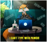 can&#039;t type with paws a5663dba25e9a6155089d95656316d0c
