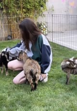 GOATS