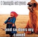 camel-01