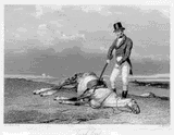 BeatingDeadHorse