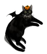FgfjNxJVEAAR8TM