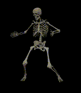 1735536705043687
