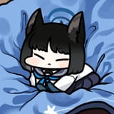 confy cat