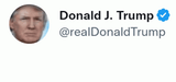 donald-trump-many-such-cases