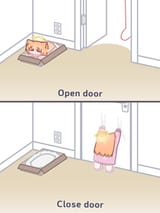 car door