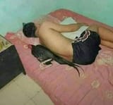 asleepWithAHugeCockByMySide