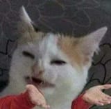 417635
