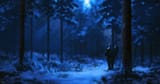 philipp-a-urlich-forest-winter-4-smaller