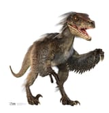 1038-Velociraptor_303a