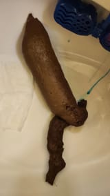glorious-poo-v0-ek446ak5z5be1_result