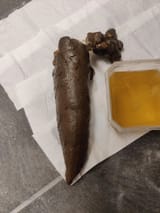 i-love-taking-thick-shits-v0-k29cj2j7e7gc1_result
