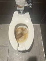 pooed-in-a-blocked-toilet-v0-pzk602jyn37b1_result