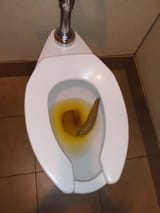 jack-in-the-box-bowel-movement-v0-balb5ci8d5lb1_result
