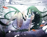 frog 528178