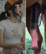 emihorsedd