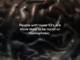 low iq racist