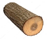 log