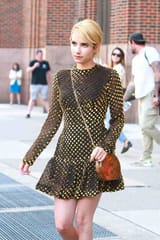 IMG_8160-441x662