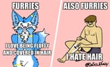 furries are inconsistent with their body hair preferences 1625469589681