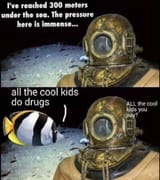7asdf