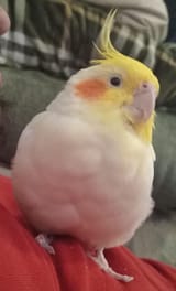 5127