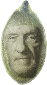 Imma Seed Wultuh