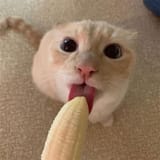 135