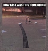 1731252571648391