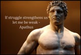 Apathus0022323