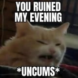 1747335505739953