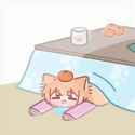 cat sleeping mandarina b_thumb.jpg
