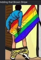 wiping ass with pride flag
