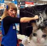 Nobody Watches Cats The Musical