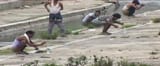 defecate in india