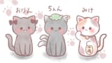chen cats