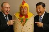 TACO
