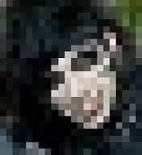 1750032088097359
