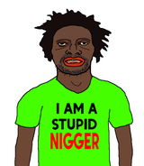 I am a stupid nigger