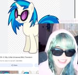 pony