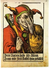 Heinrich_Vogtherr_d._J._Schalksnarr