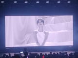 the big screen