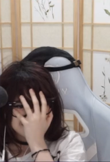 hide