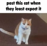 1734825512644734