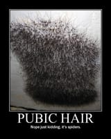 pubichair