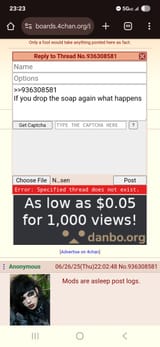 Screenshot_20250626_232329_Chrome