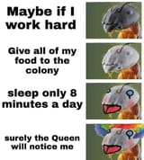 100090391_3167874936584561_1910780595793821696_o