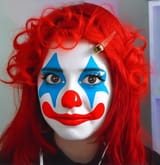 honkhonk