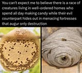 Lawful good race