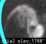 647